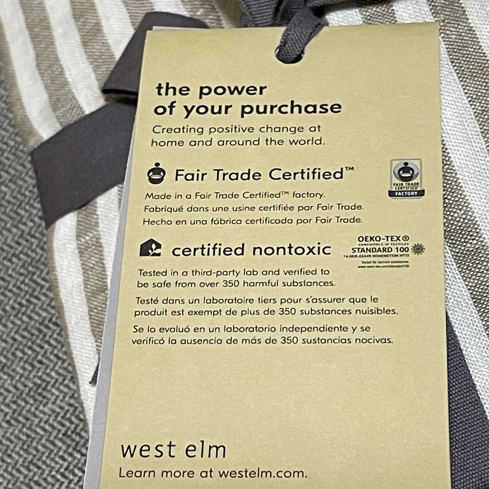 West Elm European Flax Linen Classic Stripe Euro Sham